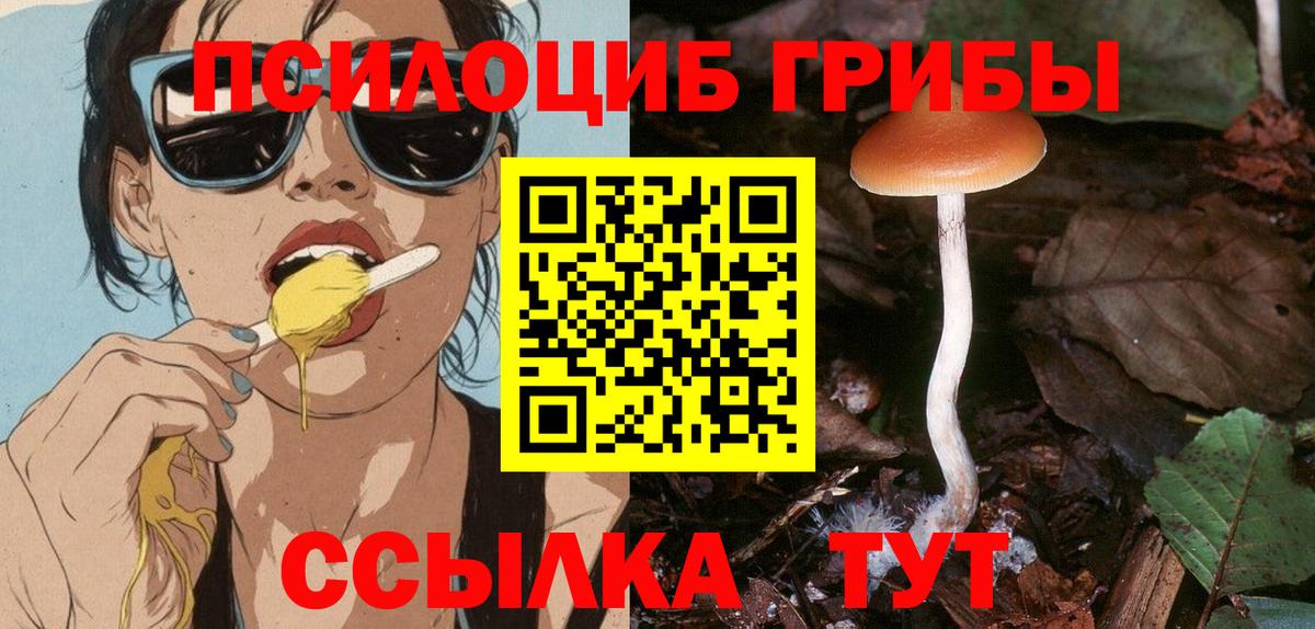 Псилоцибиновые грибы Magic Shrooms  Вход с VPN  Домодедово 