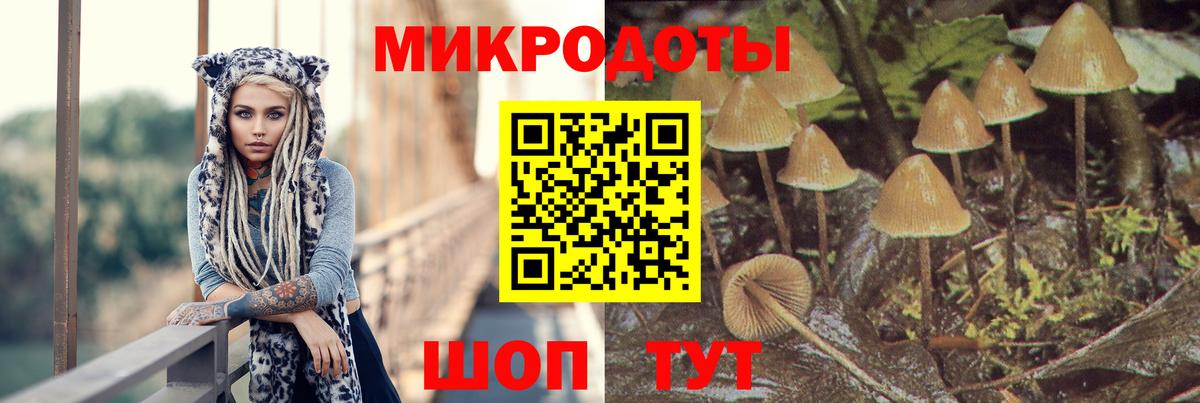 Псилоцибиновые грибы прущие грибы Домодедово